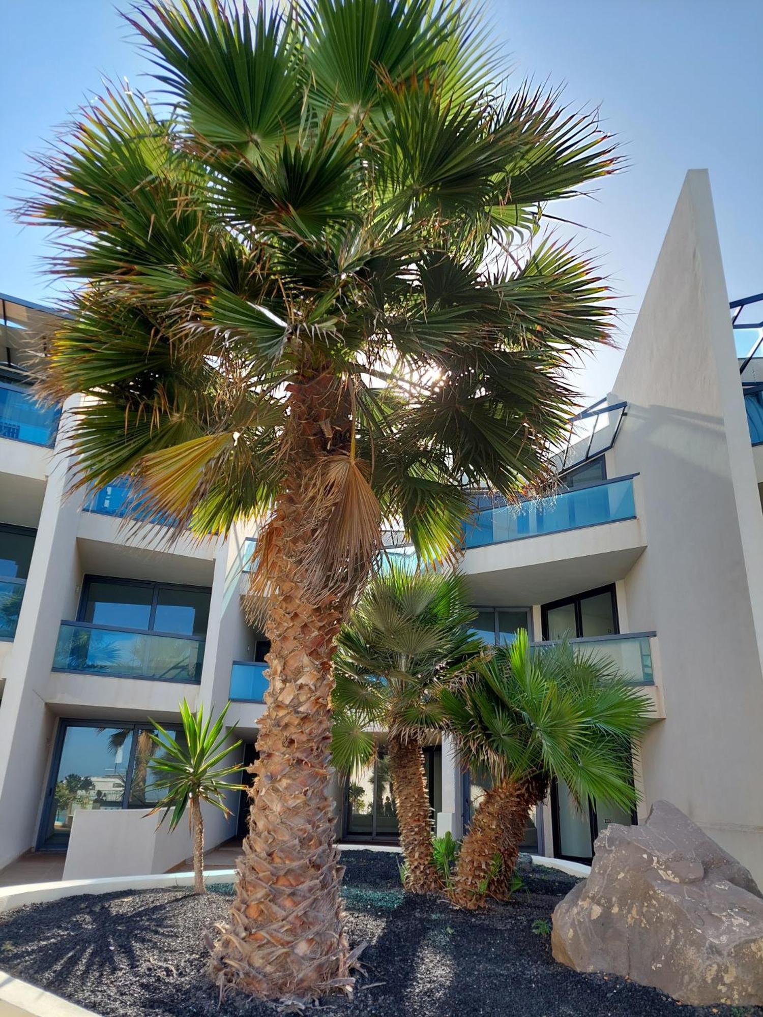 Slow Time Cotillo By Sea You There Fuerteventura Exterior foto